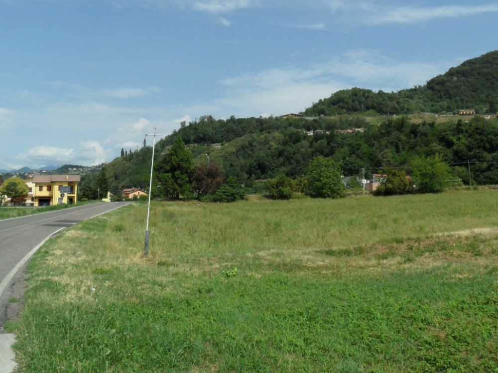 Messo all’asta il terreno di via Campagna, in località Riobonello. A.C.   
