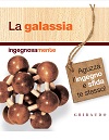 La galassia La galassia
